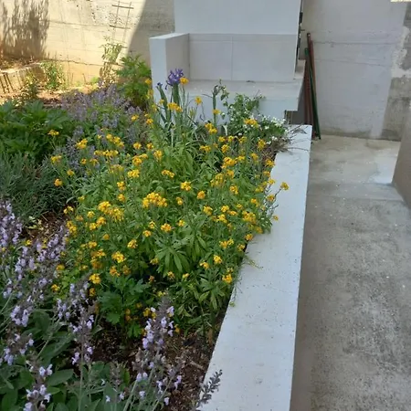 Sunag * Sibenik