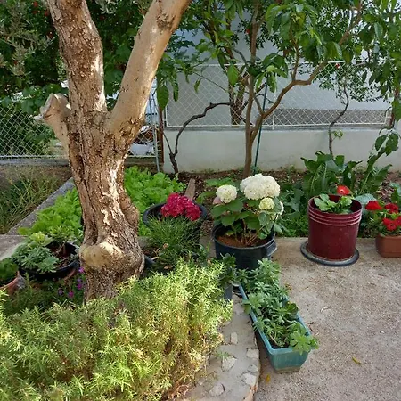 Apartman Sunag *