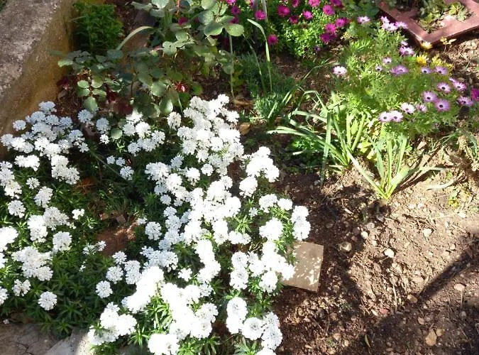 Sunag Appartamento *